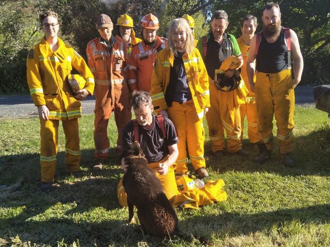 Macclesfield Fire Brigade volunteers after rescuing Ted the dog from a wombat hole.