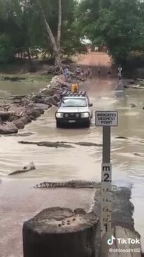 Cahills Crossing traffic block