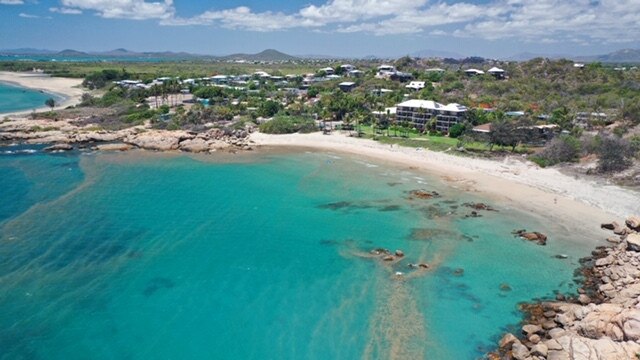 Reef Check hosted a beach clean at Rose Bay in Bowen in December. Photo: Nathan Cook/Reef Check Australia