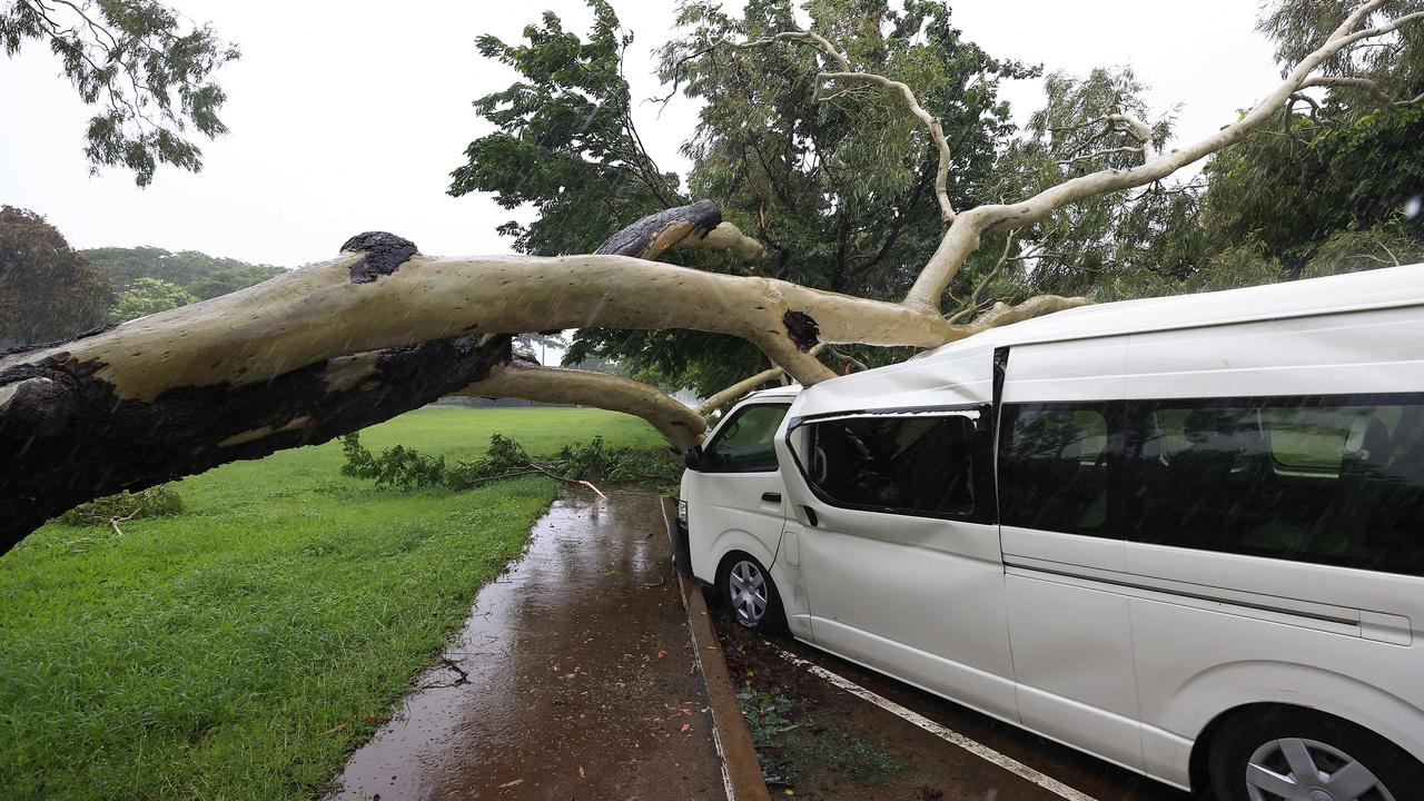 A tree crashed down onto a van in Darter Street, Idalia. Picture: Adam Head