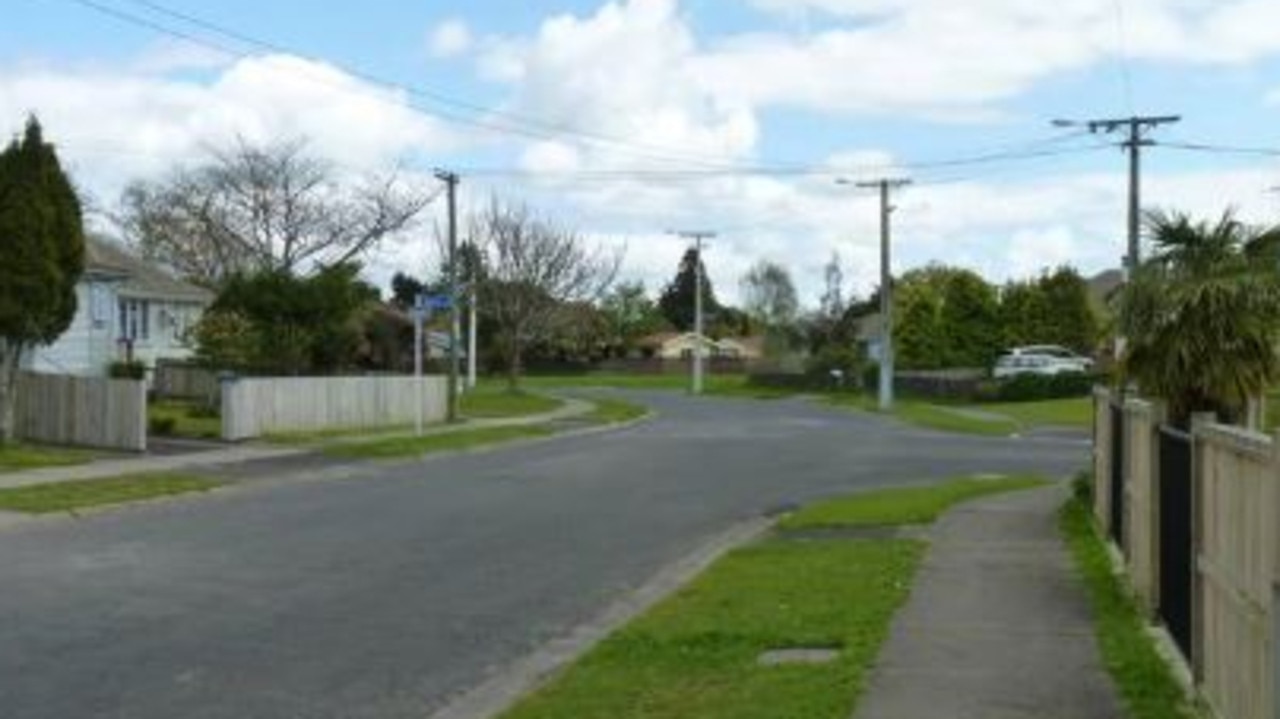 A newborn baby has died after it mauled to death by a dog in Hamilton, NZ. Picture: Supplied