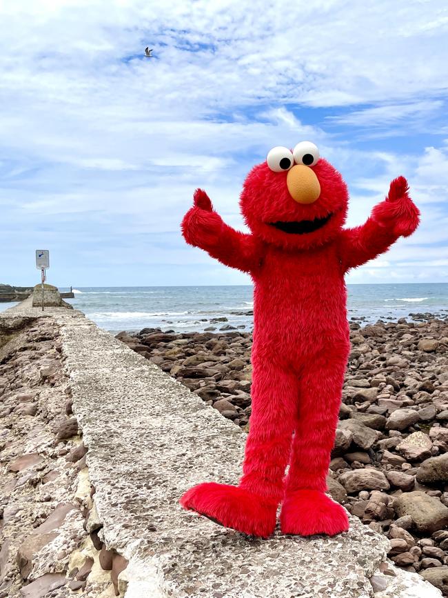 Elmo went for a stroll through Shellharbour Village in between shows at the Sesame Street Circus Spectacular. Picture: Dylan Arvela