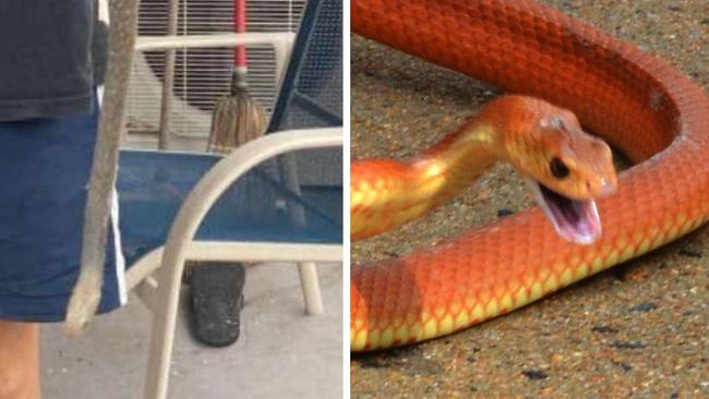 A teenager has survived two bites from an eastern brown snake which Hervey Bay snake catcher Clinton Jones, who posted about it on his Jonesy the Snake Catcher Facebook page with a picture of the reptile (left), said had become stuck in "one of those sticky traps".