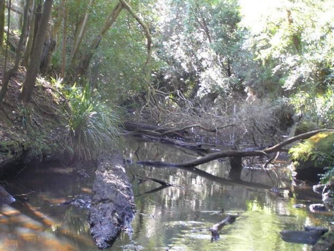 Water levels of the Wyong River at Yarramalong have dropped alarmingly over a very dry, hot summer. Picture: DPI Office of Water