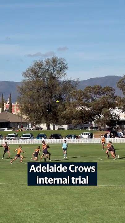 Adelaide Crows internal trial