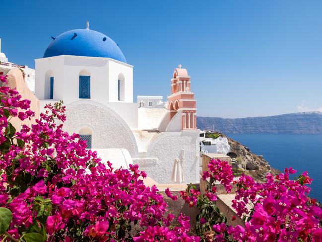 Looking Forward: Scenic view of traditional cycladic houses with flowers in foreground, Oia village, Santorini, Greece