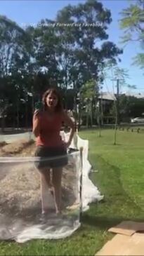 Brisbane woman destroys humble community garden