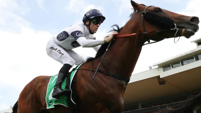 Malkovich is a $21 chance in The Quokka on Saturday. Picture: Getty Images.