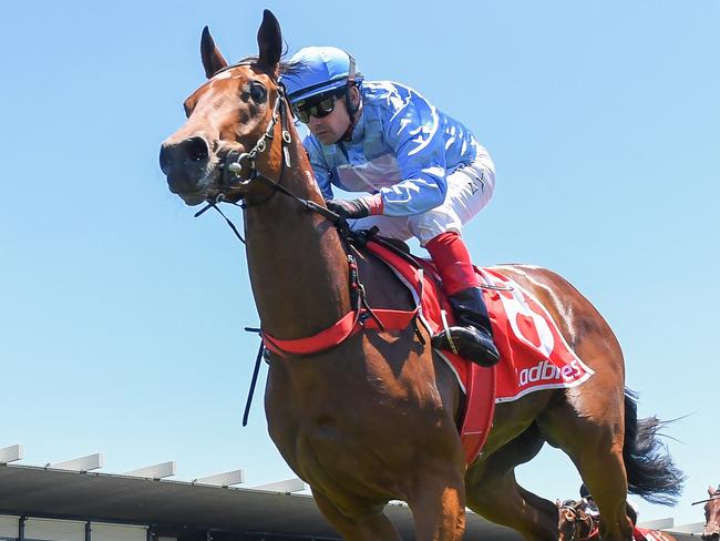 Smart debut winner Serasana is a $12 chance to win the Group 1 Blue Diamond Stakers for trainers Robbie Griffiths and Mathew de Kock. Picture : Racing Photos via Getty Images.