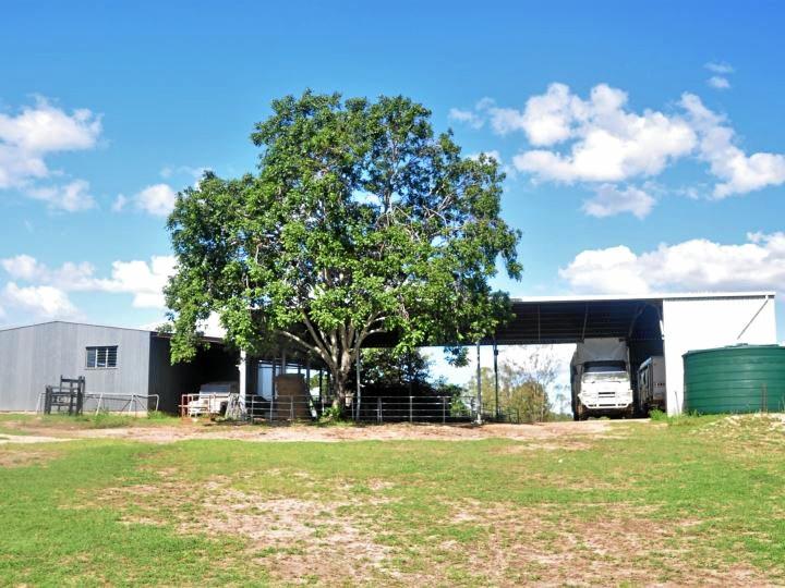 Galloway Plains, a cattle grazing property west of Calliope, sold at auction for $15 million.