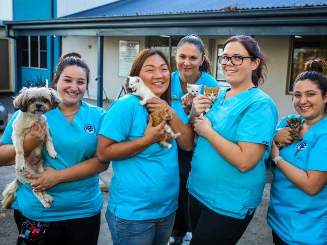 Quakers Hill Veterinary Hospital holds third fundraiser for motor neurone  disease | Daily Telegraph