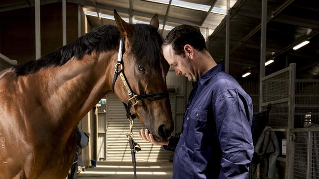 We’ve done it before, we can do it again … defending champ Gold Trip with trainer Ciaron Maher ahead of Tuesday’s Melbourne Cup. Picture: Arsineh Houspian