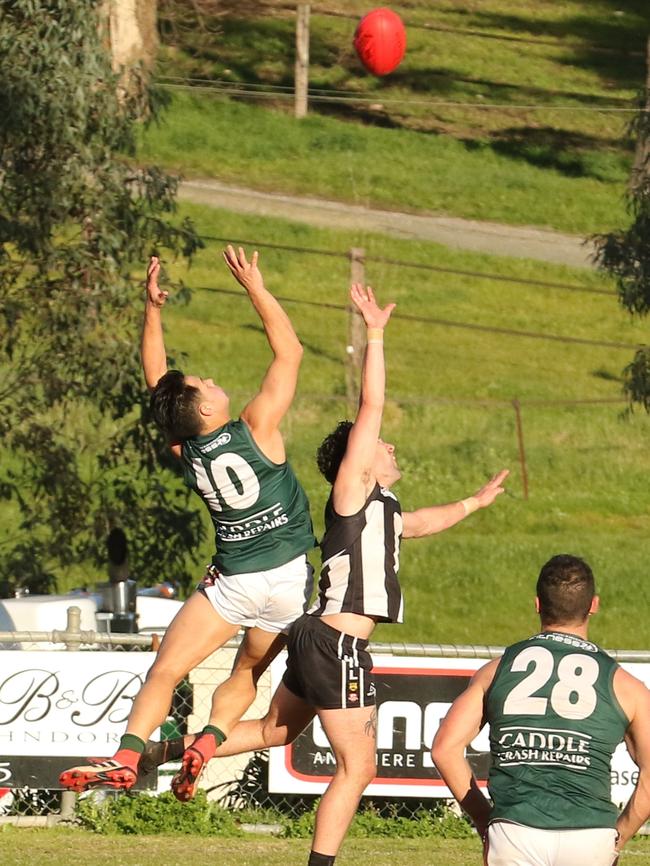 Hills Football League club Blackwood’s Brad Jones in action. Picture: Fi Zevenboom.