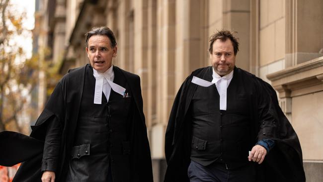 Lynn’s barristers Dermot Dann and Michael McGrath Picture: NewsWire / Diego Fedele