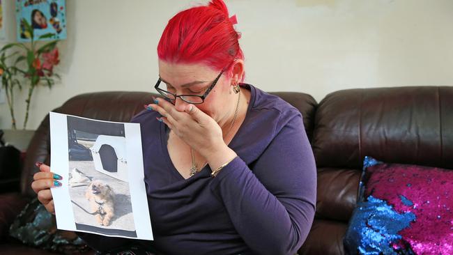 Vera Novakovic, with a picture of her dog, Vuk. Picture: Mark Stewart