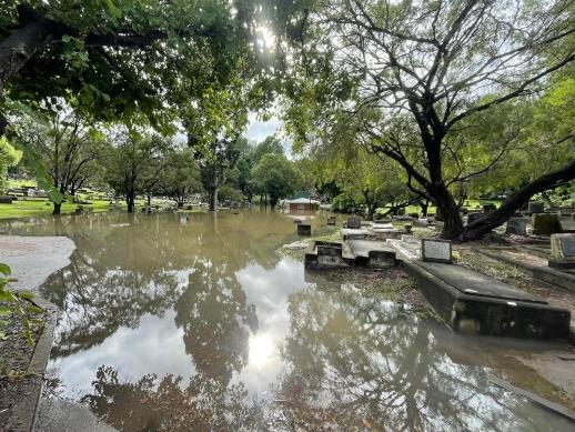 Part of the South Brisbane Cemetery in Dutton Park during the February floods. Picture: P. Granville/Christopher Dawson/timetravelclub.com.au