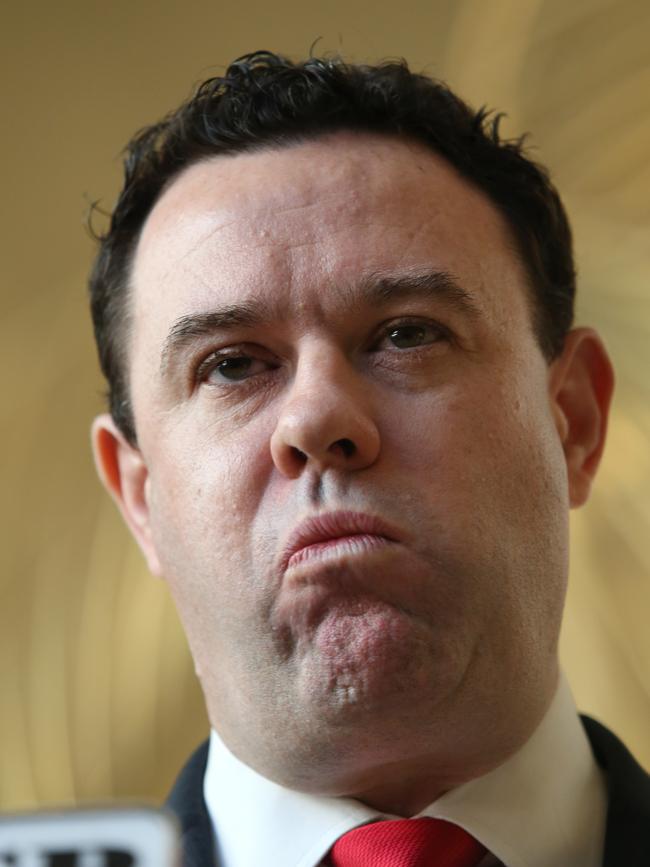 Stuart Ayres said he texted a job ad for a New York trade role to John Barilaro, but maintained the former deputy premier was not treated differently to any other candidate. Picture: John Feder