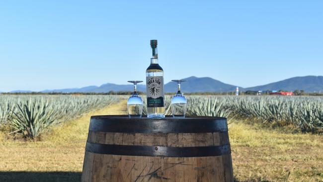 TopShelf International Agave Chief Distiller Dean Leslie has opened the doors of Australia's first agave spirit distillery. Picture: Estelle Sanchez