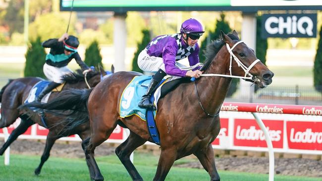 Loveplanet will strip fitter for his first-up and will go close on Saturday. Picture: Getty Images)