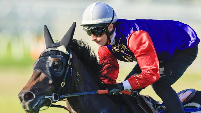 SYDNEY, AUSTRALIA - FEBRUARY 17: James McDonald on Chalk Stream competes during Barrier Trials at Royal Randwick Racecourse on February 17, 2022 in Sydney, Australia. (Photo by Jenny Evans/Getty Images)