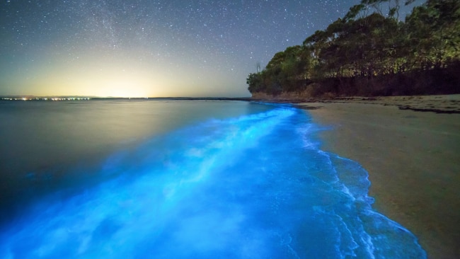 13/71Jervis Bay, Shoalhaven - NSW
Home to the whitest sand beach in the world, the beaches of Jervis Bay on the NSW South Coast have also been known to light up blue with phosphorescence at night. Picture: Destination NSW