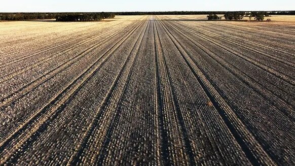 The Hickson family purchased the first portion of the aggregation in 1929.