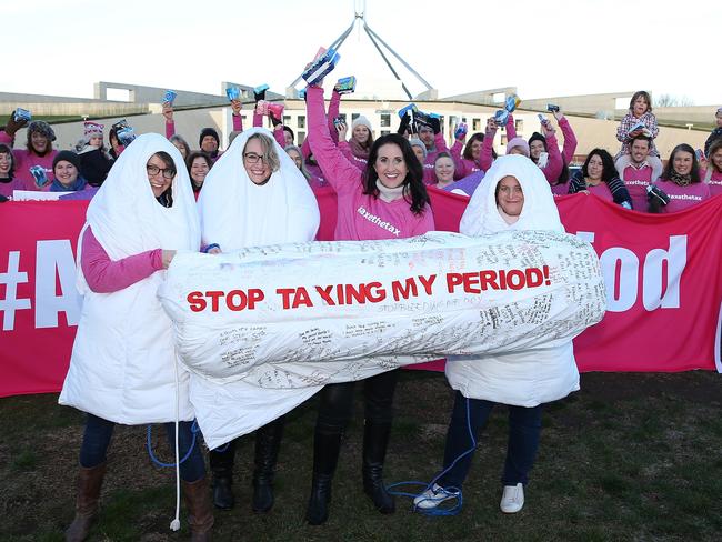 Colourful protests were held as the bill went before the Senate. Picture: Kym Smith