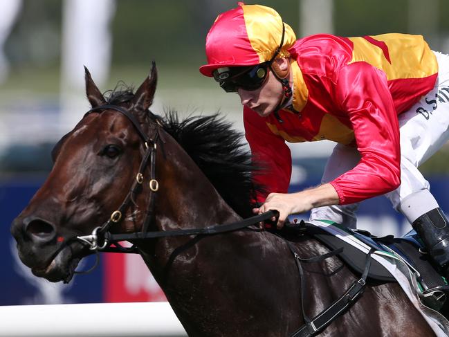 Malaguerra ridden by Blake Shinn wins the Tab Star Kingdom Stakes race during the Western Sydney Legends Day at Rosehill race course in Sydney, Saturday, March 26, 2016. (AAP Image/David Moir) NO ARCHIVING, EDITORIAL USE ONLY