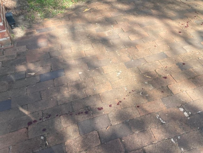 A blood trail at Mays Hill cemetery. Picture: Supplied