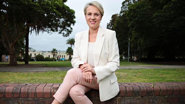 Tanya Plibersek is expected to be the new leader of the Labor Party, Peta Credlin writes. Picture: Adam Yip