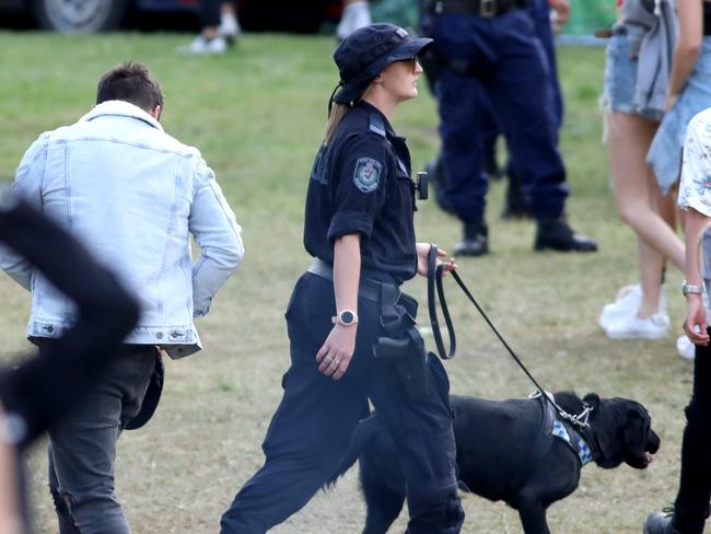 The use of sniffer dogs and subsequent strip searches at public events have skyrocketed. Picture: Damian Shaw