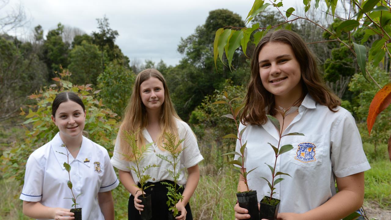 Mullumbimby High School vice captain Indi Gumbrell and fellow students Malani Farrell and Bethany Woods prepare to plant trees as part of the new Trees for Koalas - Connecting Communities project. The project is aimed at increasing the number of koala food trees on private properties within the Byron Shire. The group toured a Binna Burra property on Tuesday, October 27, before planting 400 new koala food trees to build upon existing plantation works. Picture: Liana Boss