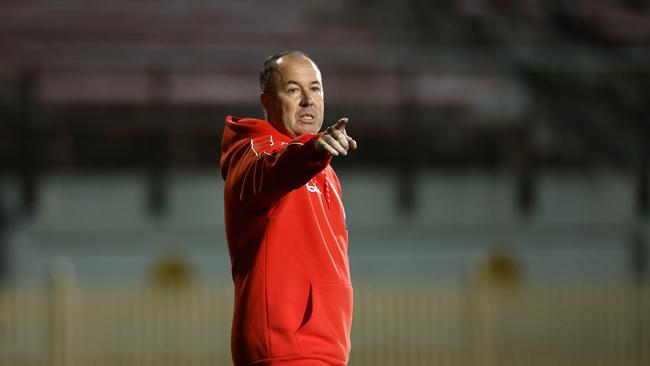 Coach Scott Gowans during Sydney Swans AFLW training session at North Sydney Oval on 25th August, 2022 ahead of their first match there this week. Photo by Phil Hillyard (Image Supplied for Editorial Use only – **NO ON SALES** – Â©Phil Hillyard )