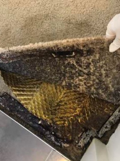 They found black mould underneath the carpet. Picture: Amie Skilton/Supplied