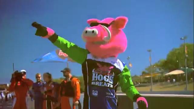 Hog's Breath Cafe (V8 supercars sponsor advertisement 2014)