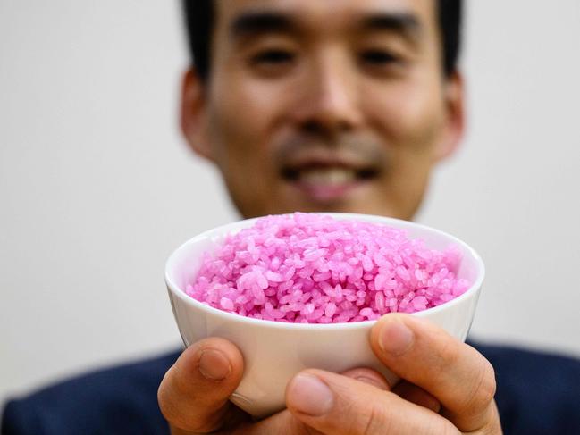 This picture taken on May 21, 2024 shows professor Hong Jin-kee posing with a bowl containing pink "meaty rice" at the Yonsei University in Seoul. In a small laboratory in Seoul, a team of South Korean scientists are injecting cultured beef cells into individual grains of rice, in a process they hope could revolutionise how the world eats. (Photo by Anthony WALLACE / AFP) / To go with 'SKOREA-SCIENCE-FOOD, FOCUS' by Claire LEE