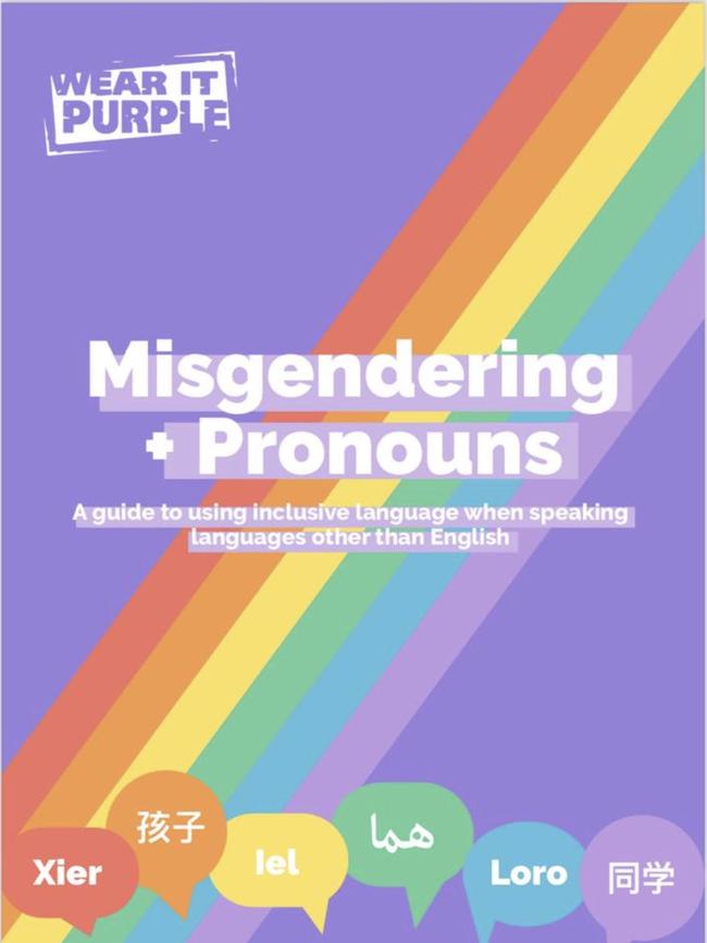 The misgendering and pronouns guide.