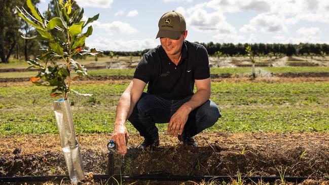 Henrik Christiansen irrigates 120,000 macadamia trees on 340ha of land in South Yaamba. He said the impact of a new water pricing structure was significant.