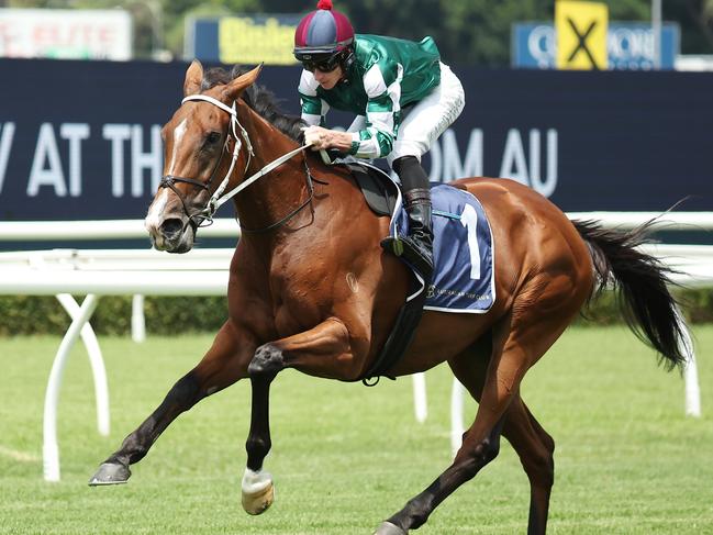 SYDNEY, AUSTRALIA - FEBRUARY 08: James McDonald riding Via Sistina participates in an exhibition gallop after Race 1 during Sydney Racing at Royal Randwick Racecourse on February 08, 2025 in Sydney, Australia. (Photo by Jeremy Ng/Getty Images)