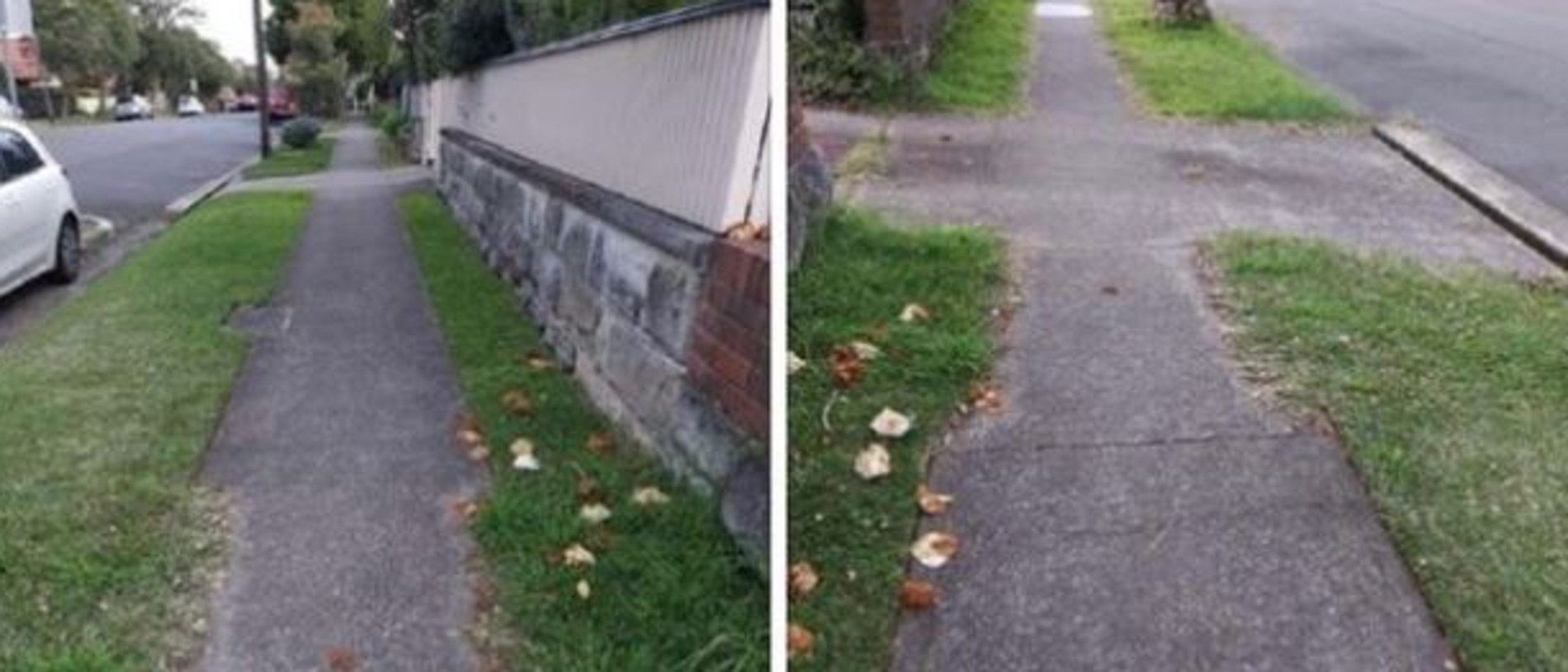 The image shows the grass mowed right up until the border of the adjoining house, where it ends. Picture: Facebook/WilloughbyLiving