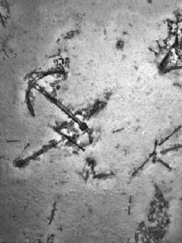 Not MH370. An uncharted shipwreck was one of the first discoveries of the MH370 search. Picture: ATSB