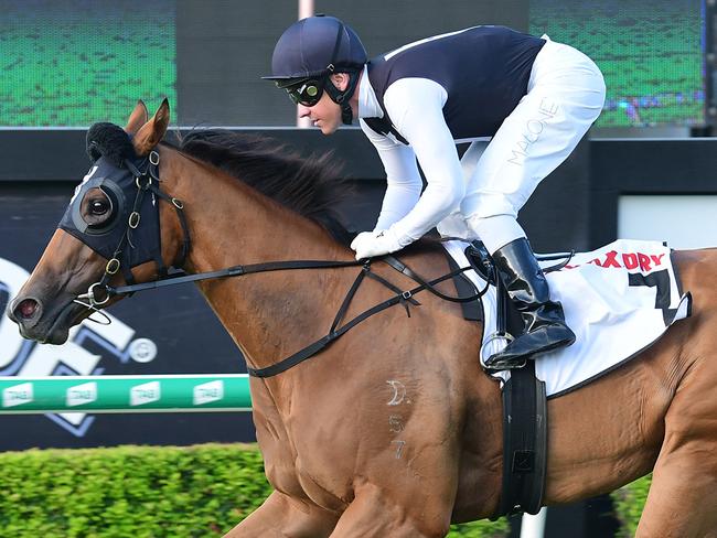 Isotope. Picture: Grant Peters/Trackside Photography