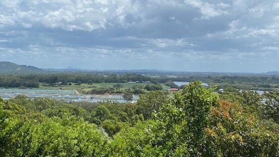 Prawn farms on the Logan River.