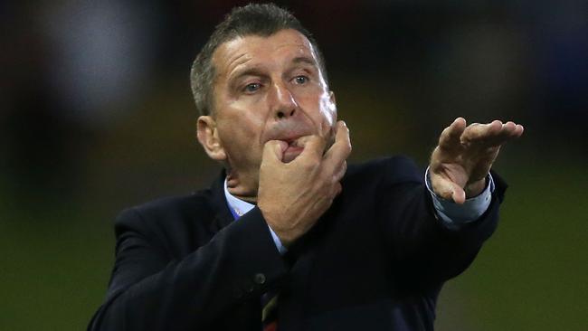 New Campbelltown City mentor Phil Stubbins, during his time as Newcastle Jets boss in the A-League. Picture: Tony Feder/Getty Images