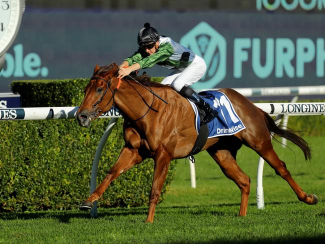 SYDNEY, AUSTRALIA - JUNE 10: Dylan Gibbons riding Passeggiata   wins Race 6 Furphy during  "Bob Charley AO Stakes Day" - Sydney Racing at Royal Randwick Racecourse on June 10, 2023 in Sydney, Australia. (Photo by Jeremy Ng/Getty Images)