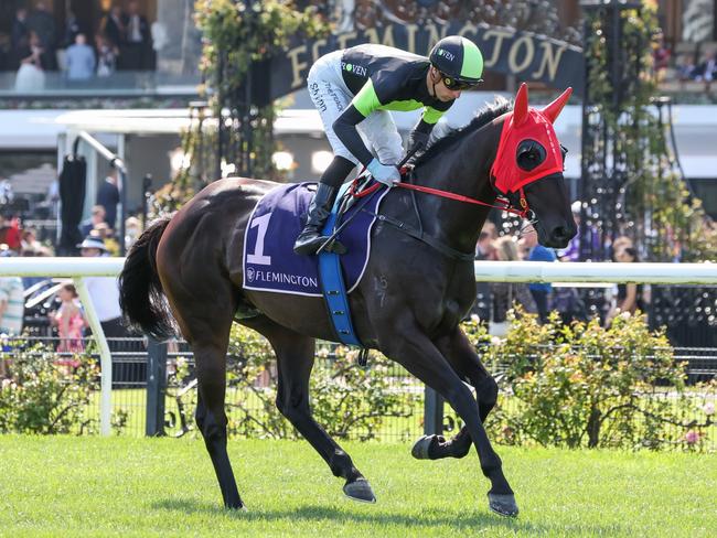 Private Eye ridden by Blake Shinn on the way to the barriers prior to the running of  the Black Caviar Lightning at Flemington Racecourse on February 17, 2024 in Flemington, Australia. (Photo by George Sal/Racing Photos via Getty Images)