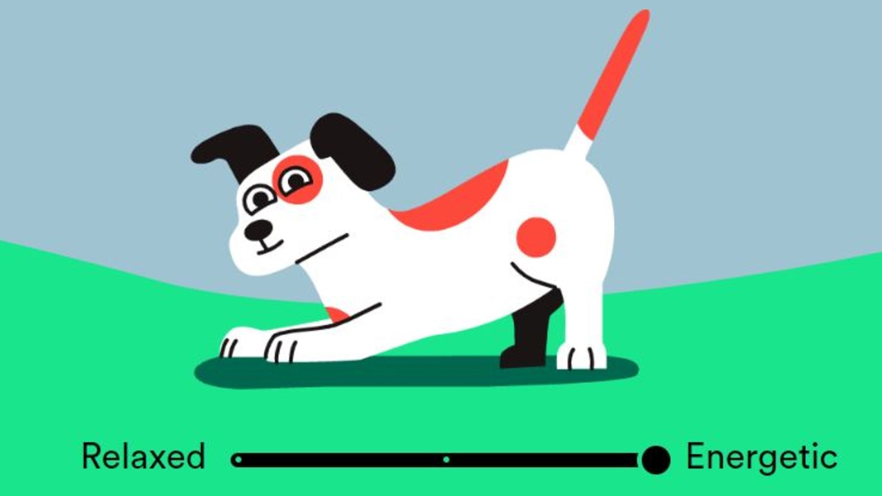 Telling Spotify your dog's temperament helps refine the results.