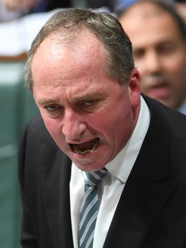 Barnaby Joyce has a few choice words for Pauline Hanson. (Pic: AAP Image/Lukas Coch)