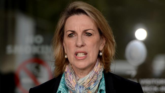 Shadow health minister Georgie Crozier says the incident was ‘terrifying’. Picture: Andrew Henshaw