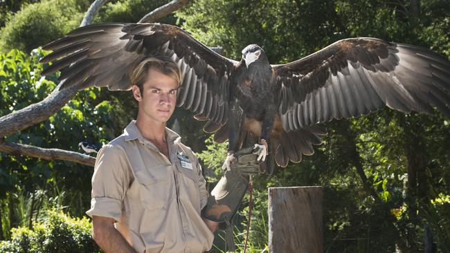 Animal handler and documentary maker Beau Eastman with Jessie the wedge-tailed eagle. Picture: supplied.